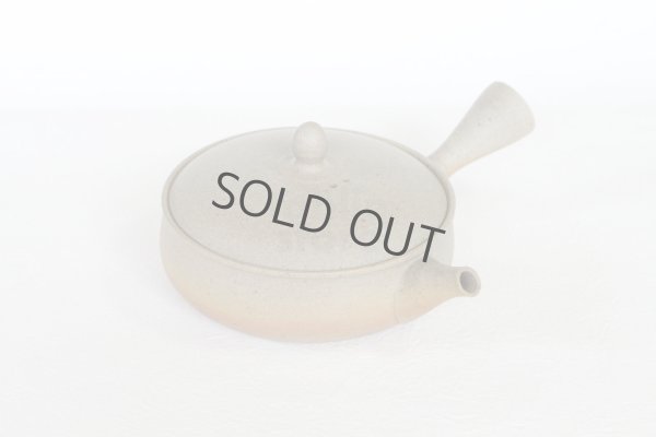 Photo1: Tokoname 2H Japanese tea pot Gyokko pottery tea strainer flat shape yakishime 170ml