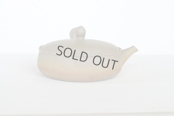 Photo10: Tokoname 2H Japanese tea pot Gyokko pottery tea strainer flat shape yakishime 170ml