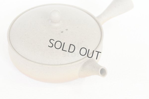 Photo9: Tokoname 2H Japanese tea pot Gyokko pottery tea strainer flat shape yakishime 170ml