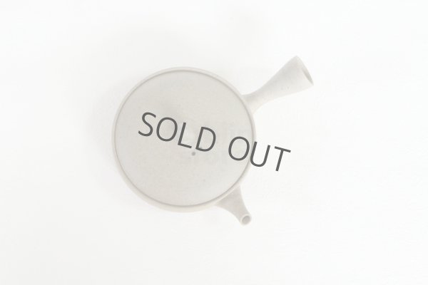 Photo8: Tokoname 2H Japanese tea pot Gyokko pottery tea strainer flat shape yakishime 170ml