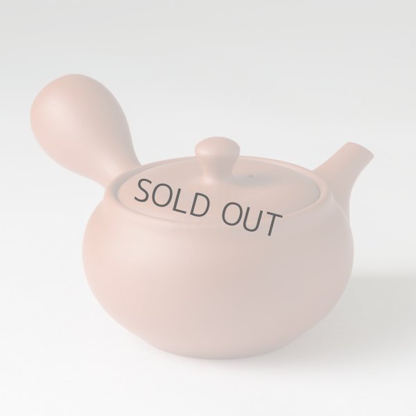 Photo14: Tokoname tea pot kyusu Jinsui Kiwami shudei red naka hira 270ml