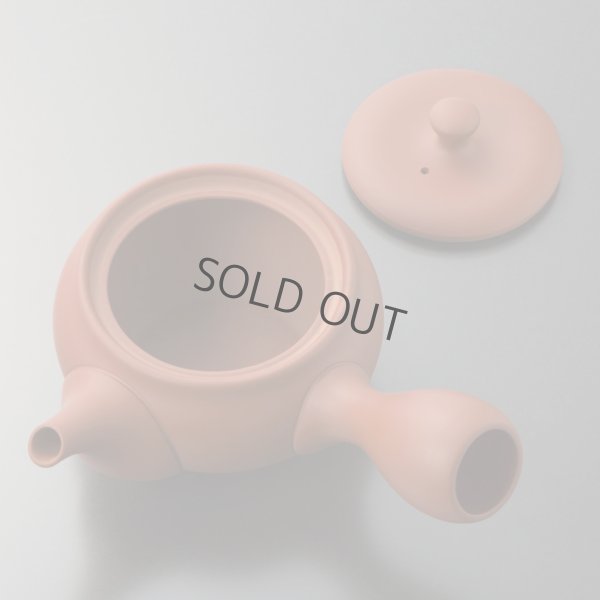 Photo13: Tokoname tea pot kyusu Jinsui Kiwami shudei red naka hira 270ml