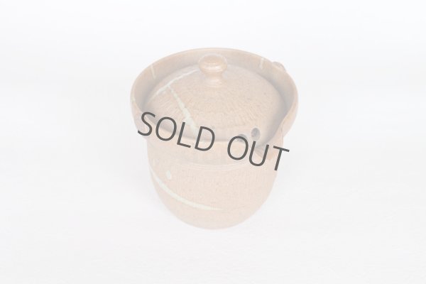 Photo8: Tokoname ware Japanese tea pot isshin carved cover ceramic tea strainer 180ml