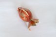 Photo8: Japanese Goldfish Statue Figurine Kutani Porcelain red sai W16cm