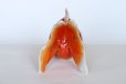 Photo7: Japanese Goldfish Statue Figurine Kutani Porcelain red sai W16cm