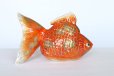 Photo4: Japanese Goldfish Statue Figurine Kutani Porcelain red sai W16cm