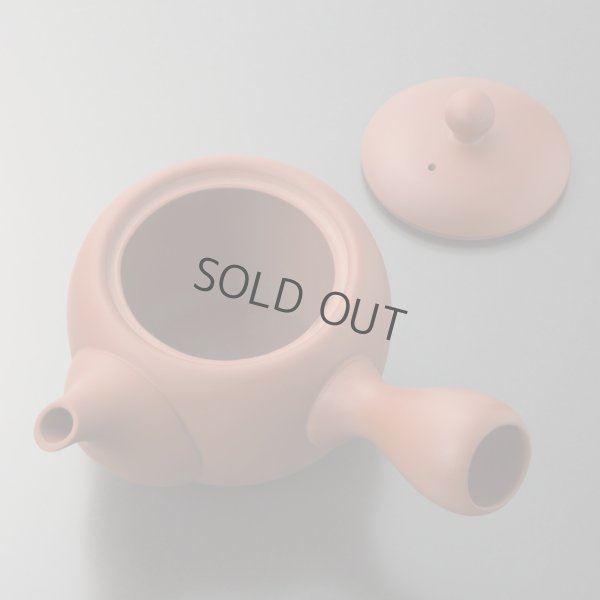 Photo4: Tokoname tea pot kyusu Jinsui Kiwami shudei red amimaru 370ml