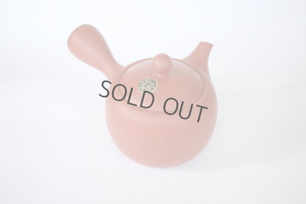 Photo9: Tokoname tea pot kyusu Jinsui Kiwami shudei red amimaru 370ml