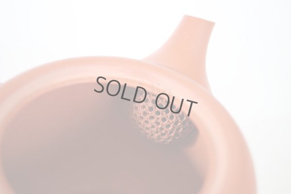 Photo8: Tokoname tea pot kyusu Jinsui Kiwami shudei red amimaru 370ml