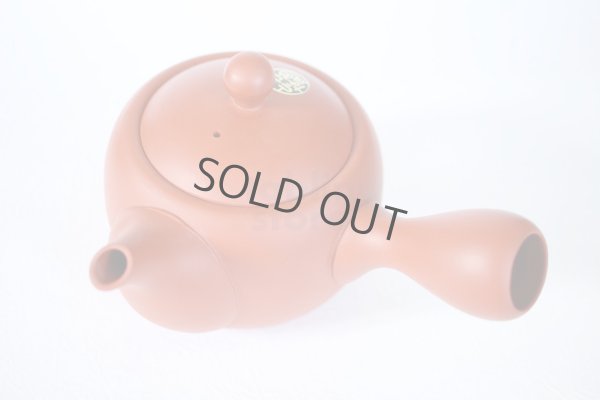 Photo6: Tokoname tea pot kyusu Jinsui Kiwami shudei red amimaru 370ml