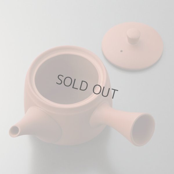 Photo11: Tokoname tea pot kyusu Jinsui Kiwami shudei red oke gata 400ml