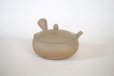 Photo12: Tokoname Japanese tea pot Gyokko pottery tea strainer flat shape yakishime 250ml (12)