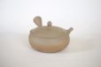 Photo12: Tokoname Japanese tea pot Gyokko pottery tea strainer flat shape yakishime 240ml