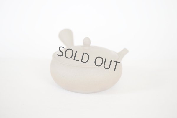 Photo12: Tokoname Japanese tea pot Gyokko pottery tea strainer flat shape yakishime 250ml