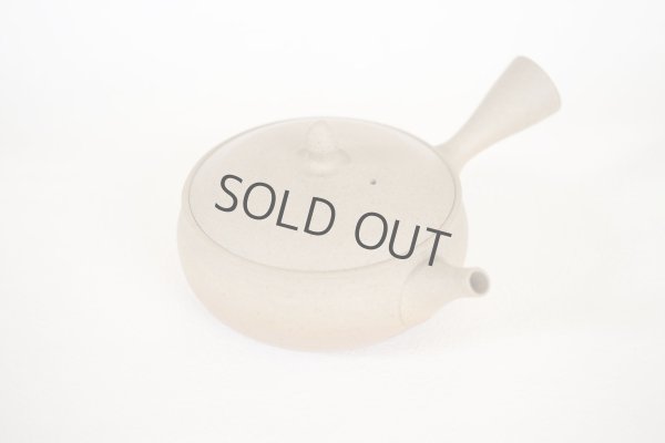 Photo11: Tokoname Japanese tea pot Gyokko pottery tea strainer flat shape yakishime 250ml