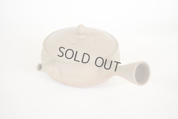 Photo10: Tokoname Japanese tea pot Gyokko pottery tea strainer flat shape yakishime 250ml