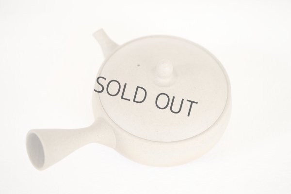 Photo9: Tokoname Japanese tea pot Gyokko pottery tea strainer flat shape yakishime 250ml