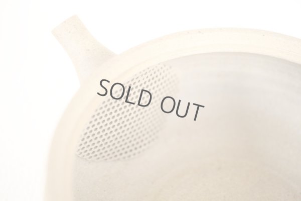 Photo8: Tokoname Japanese tea pot Gyokko pottery tea strainer flat shape yakishime 250ml