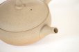 Photo6: Tokoname Japanese tea pot Gyokko pottery tea strainer flat shape yakishime 250ml