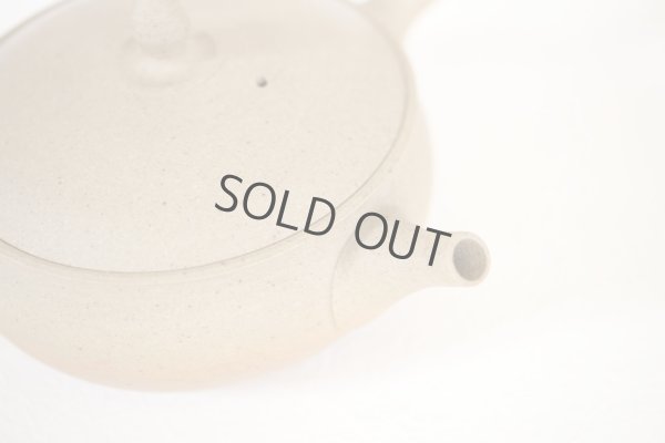 Photo6: Tokoname Japanese tea pot Gyokko pottery tea strainer flat shape yakishime 250ml