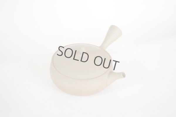 Photo5: Tokoname Japanese tea pot Gyokko pottery tea strainer flat shape yakishime 250ml