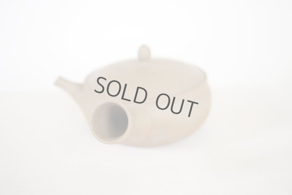 Photo4: Tokoname Japanese tea pot Gyokko pottery tea strainer flat shape yakishime 250ml