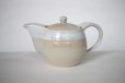 Photo1: Hagi yaki ware Japanese tea pot Hamon with stainless tea strainer 400ml (1)