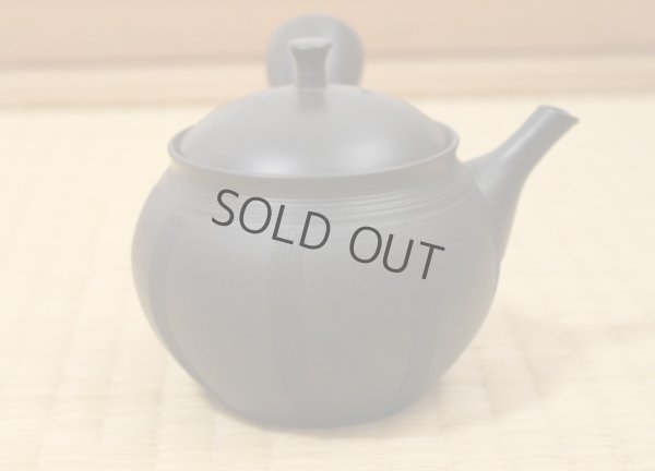 Photo5: Tokoname Japanese tea pot Hokuryu ceramic tea strainer nota black 270ml