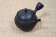 Photo6: Tokoname Japanese tea pot Hokuryu ceramic tea strainer nota black 270ml