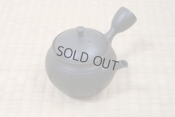 Photo6: Tokoname Japanese tea pot Hokuryu ceramic tea strainer nota black 270ml