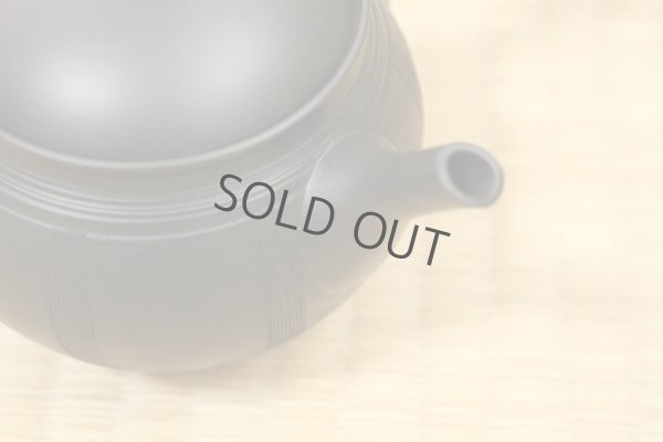 Photo7: Tokoname Japanese tea pot Hokuryu ceramic tea strainer nota black 270ml