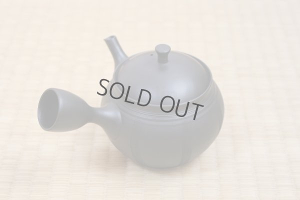 Photo3: Tokoname Japanese tea pot Hokuryu ceramic tea strainer nota black 270ml
