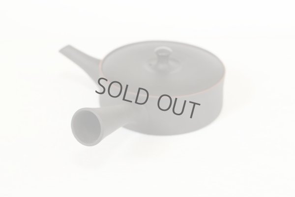 Photo8: Tokoname Japanese tea pot Sekiryu pottery tea strainer flat shape shudei black 150ml