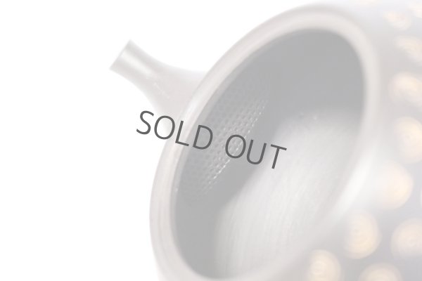 Photo6: Tokoname Japanese tea pot kyusu YT Hokuryu pressed gold  flower 300ml