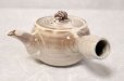 Photo10: Hagi ware Senryuzan climbing kiln Japanese tea pot kyusu hinerite 360ml