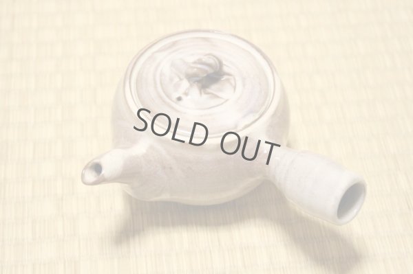 Photo5: Hagi ware Senryuzan climbing kiln Japanese tea pot kyusu hinerite 360ml