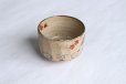 Photo9: Kiyomizu Kyoto Japanese matcha tea bowl chawan Ryoji iroe autumn leaves pottery