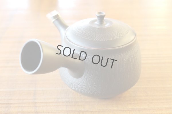 Photo2: Tokoname ware Japanese tea pot kyusu ceramic strainer YT Hokuryu biridashi 180ml