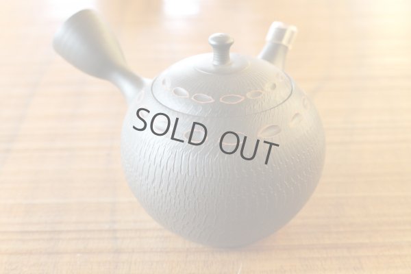 Photo1: Tokoname ware Japanese tea pot kyusu ceramic strainer YT Hokuryu birishu 180ml