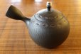 Photo2: Tokoname ware Japanese tea pot kyusu ceramic strainer YT Hokuryu birishu 180ml (2)