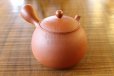 Photo1: Tokoname pottery YT Japanese tea pot kyusu shudei Komatsu red 220ml (1)