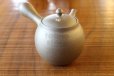 Photo1: Tokoname pottery YT Japanese tea pot kyusu yakishime Yutaka sakura 200ml (1)