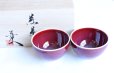 Photo1: Arita porcelain Japanese tea cups tatsusa ruby red Shinemon kiln 170ml (1)