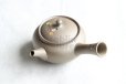 Photo12: Tokoname Japanese tea pot kyusu YT Yakishime butterfly sakura Seiho 300ml