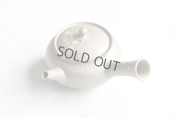 Photo12: Tokoname Japanese tea pot kyusu YT Yakishime butterfly sakura Seiho 300ml