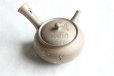 Photo10: Tokoname Japanese tea pot kyusu YT Yakishime butterfly sakura Seiho 300ml