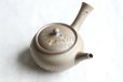 Photo1: Tokoname Japanese tea pot kyusu YT Yakishime butterfly sakura Seiho 300ml (1)