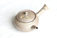 Photo3: Tokoname Japanese tea pot kyusu YT Yakishime butterfly sakura Seiho 300ml