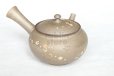 Photo9: Tokoname Japanese tea pot kyusu YT Yakishime butterfly sakura Seiho 300ml