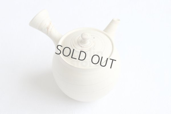 Photo6: Tokoname Japanese tea pot kyusu ceramic strainer Kenji shin nerikomi 360ml